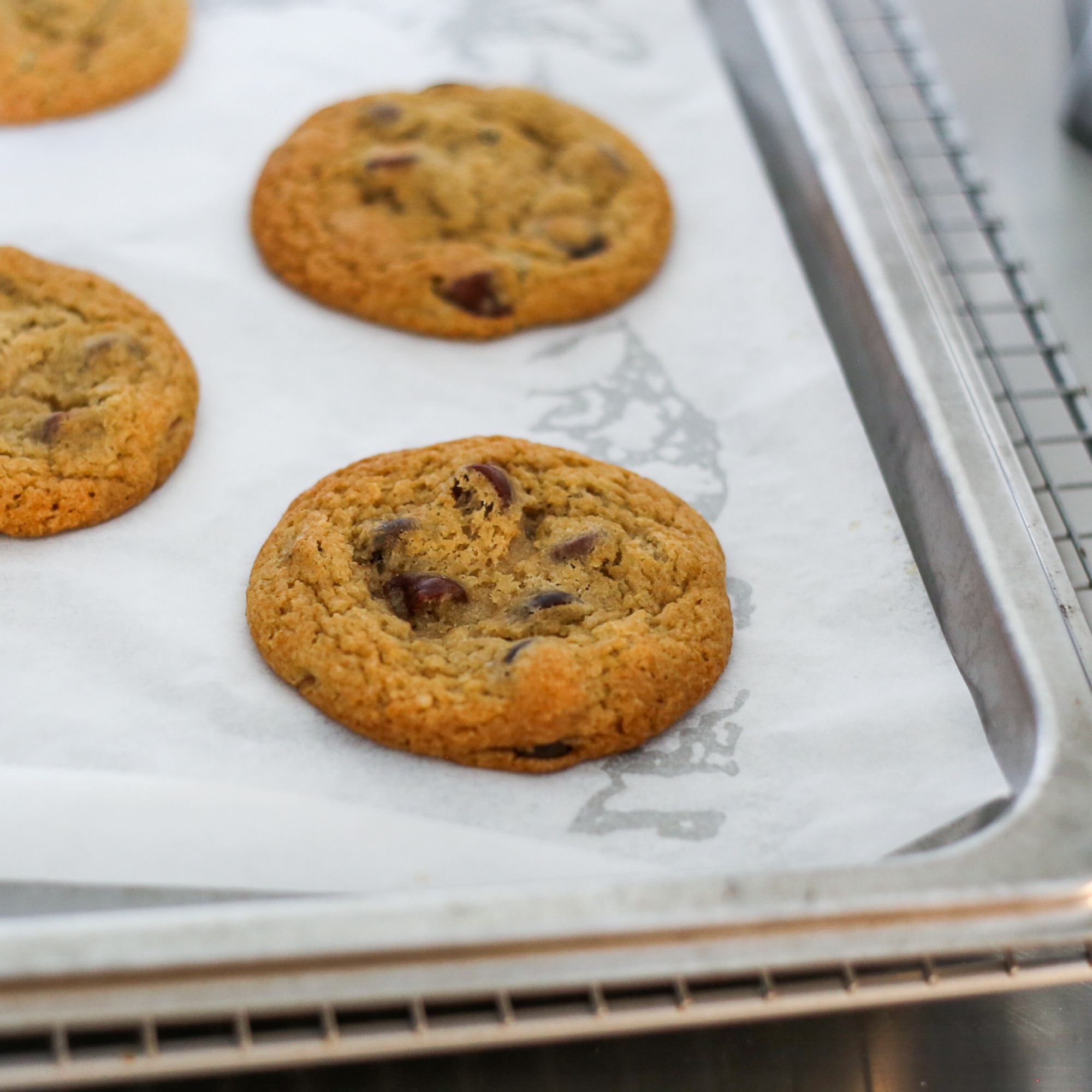 Bacon Fat Chocolate Chip Cookies Combi Steam Oven Recipes