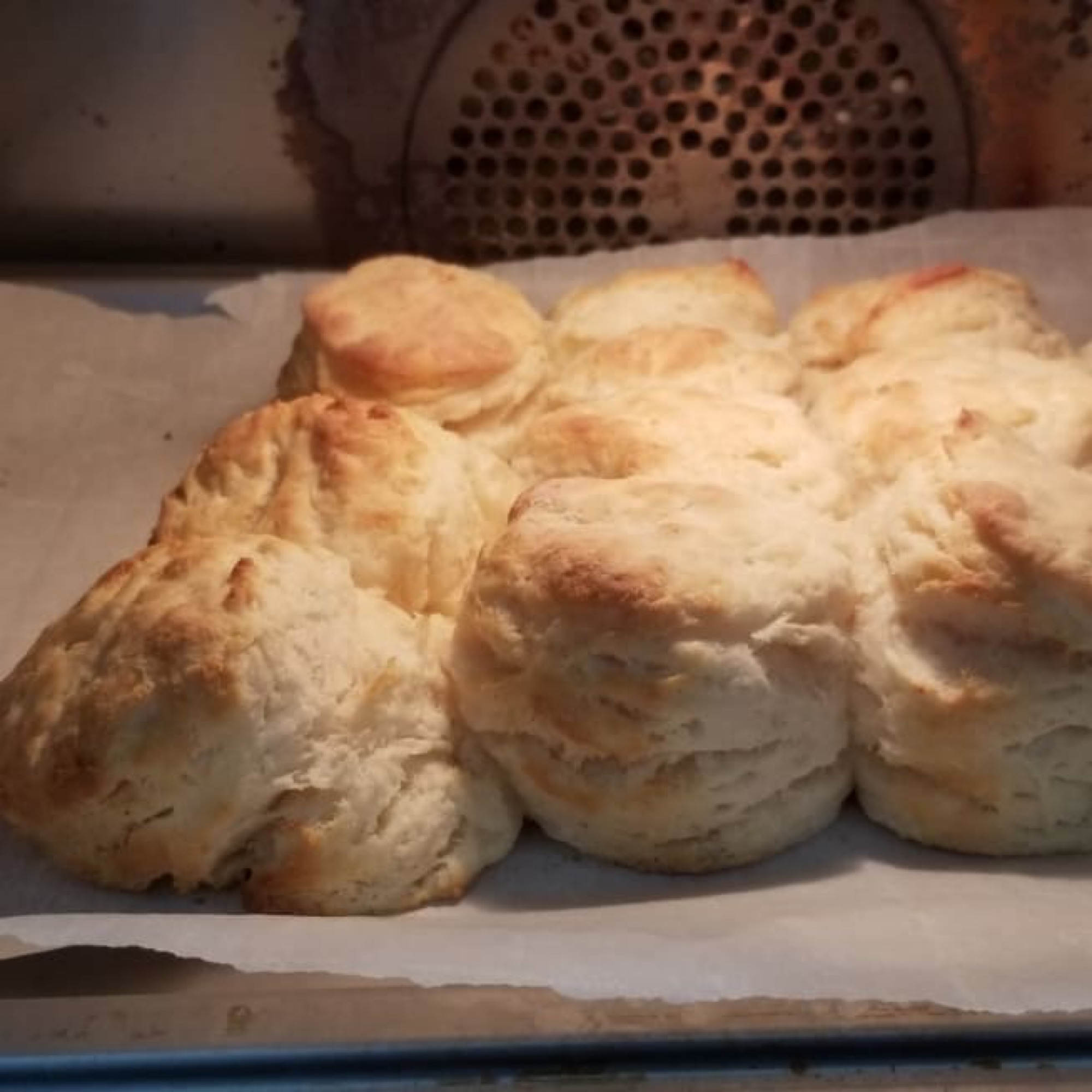 Buttermilk Biscuits with Convection Combi Steam Oven Recipes