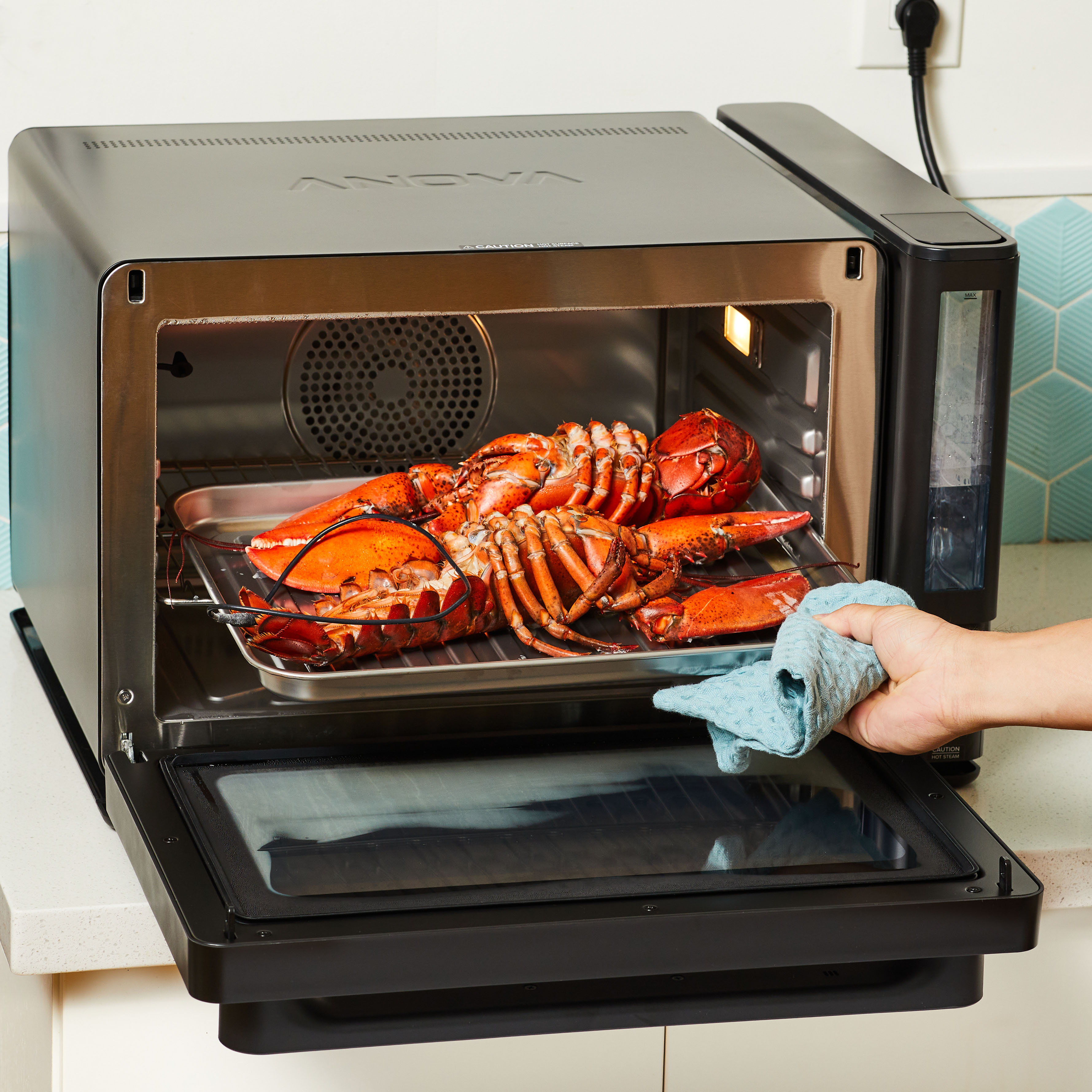 Steamed Lobsters with Herbed Browned Butter Combi Steam Oven Recipes