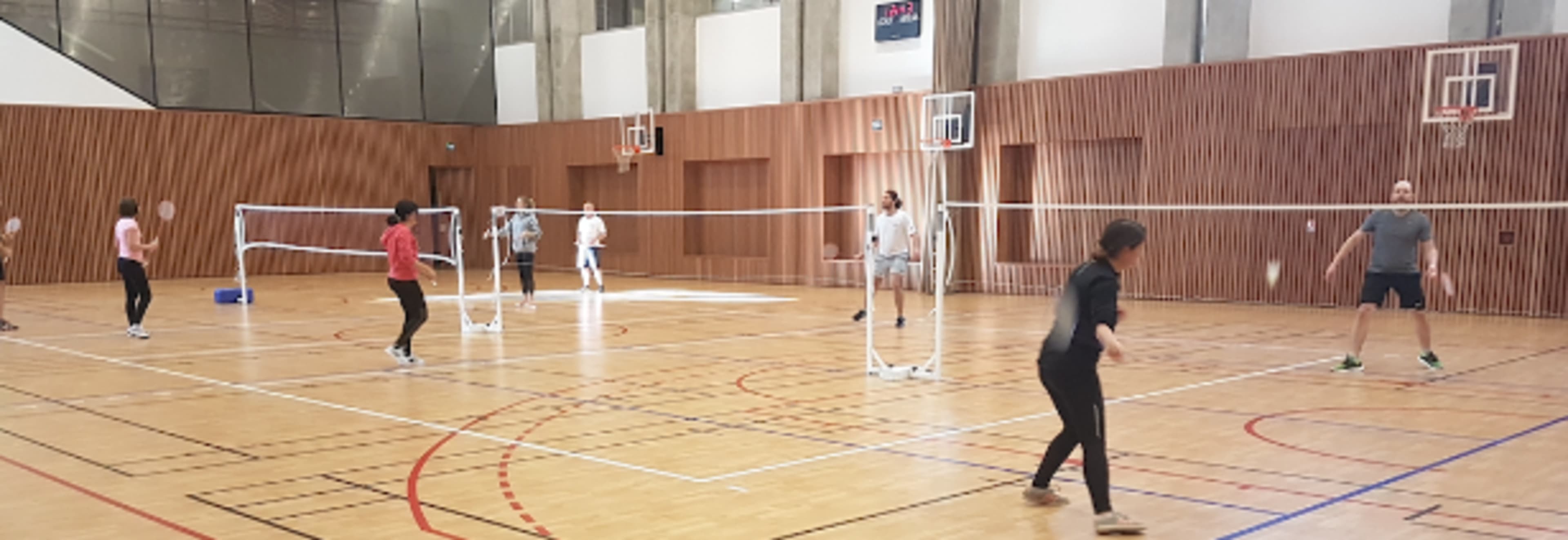 Play Badminton in Paris