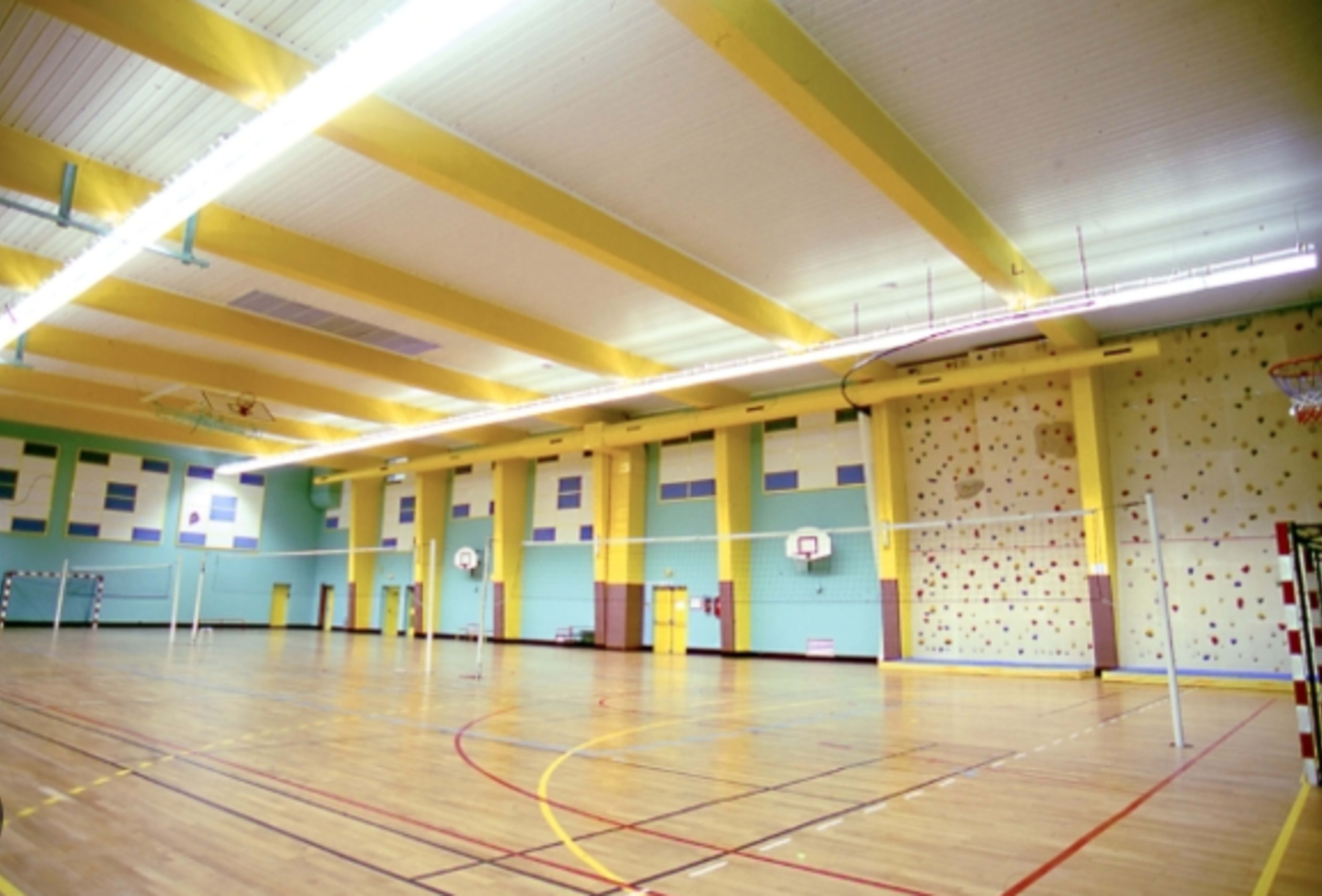 Play Badminton in Paris