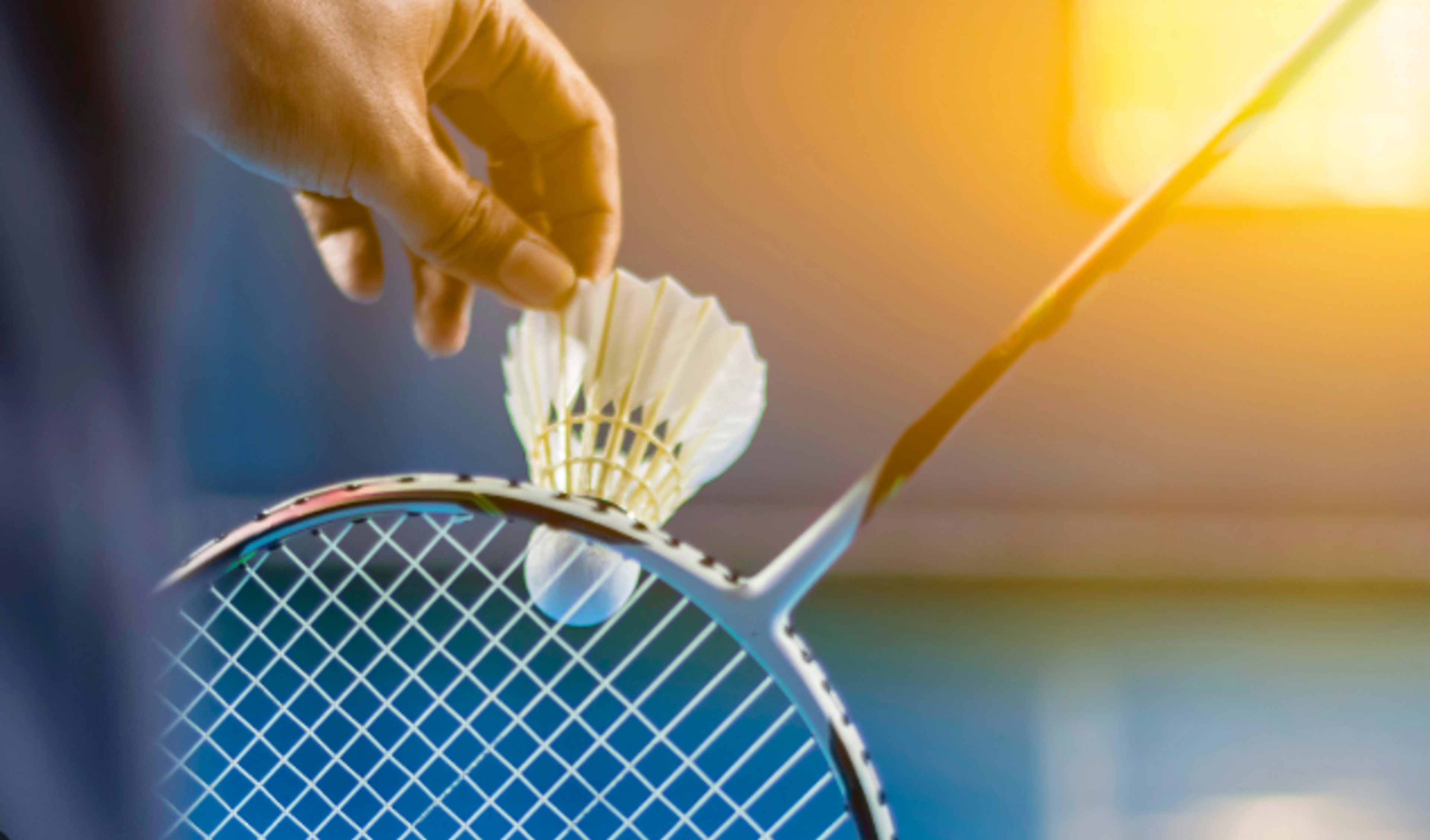 Play Badminton in Paris