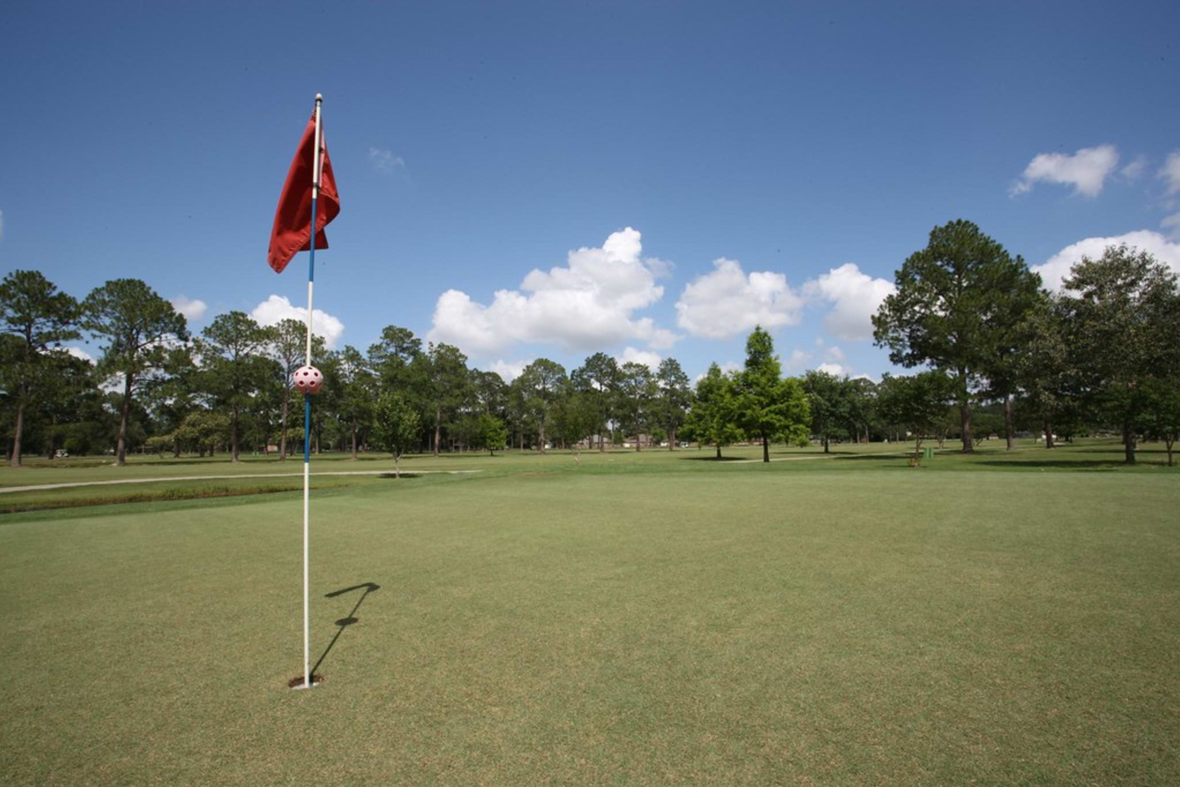 Ces célébrités accro au golf