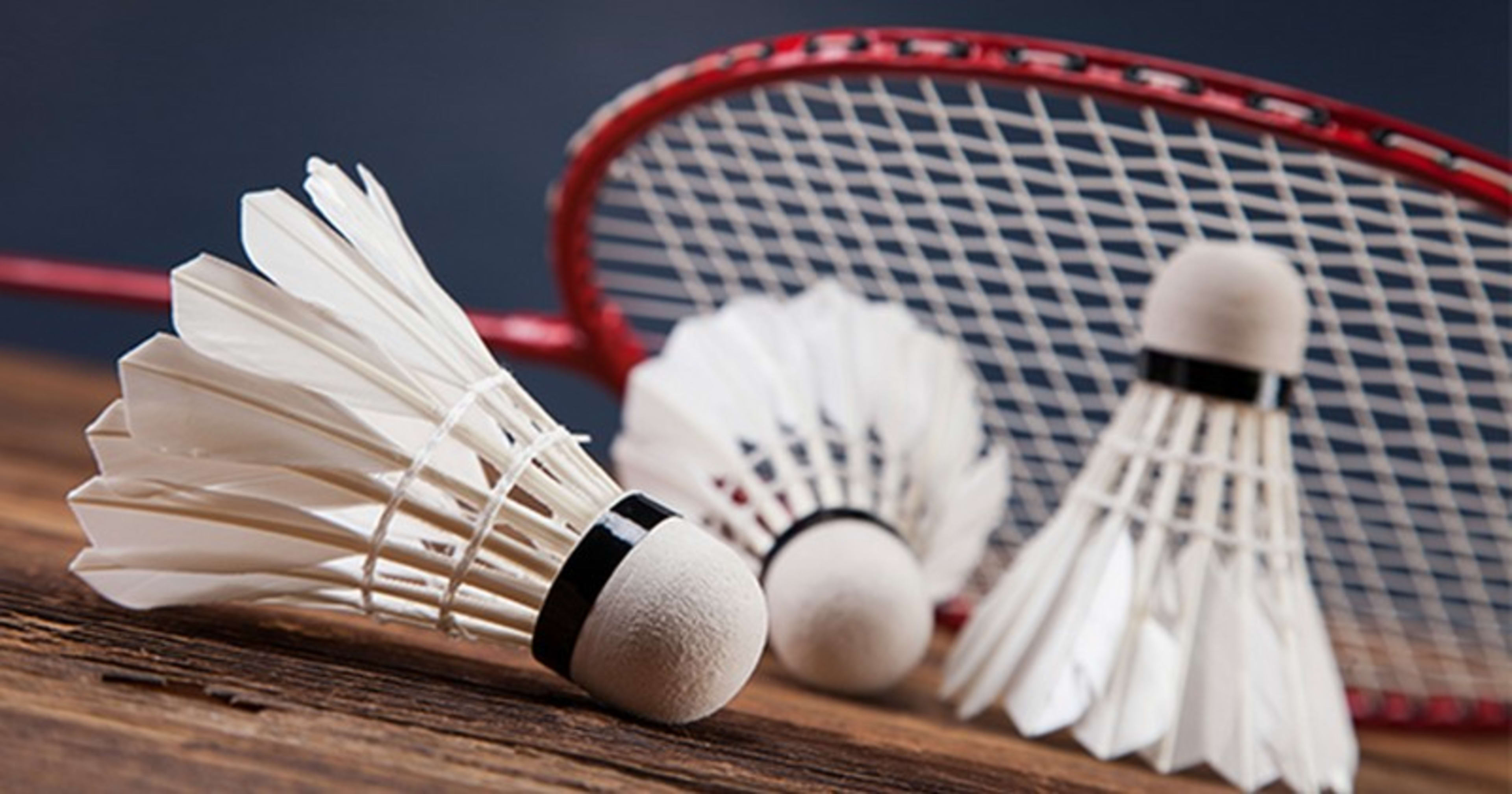 L'histoire du Badminton