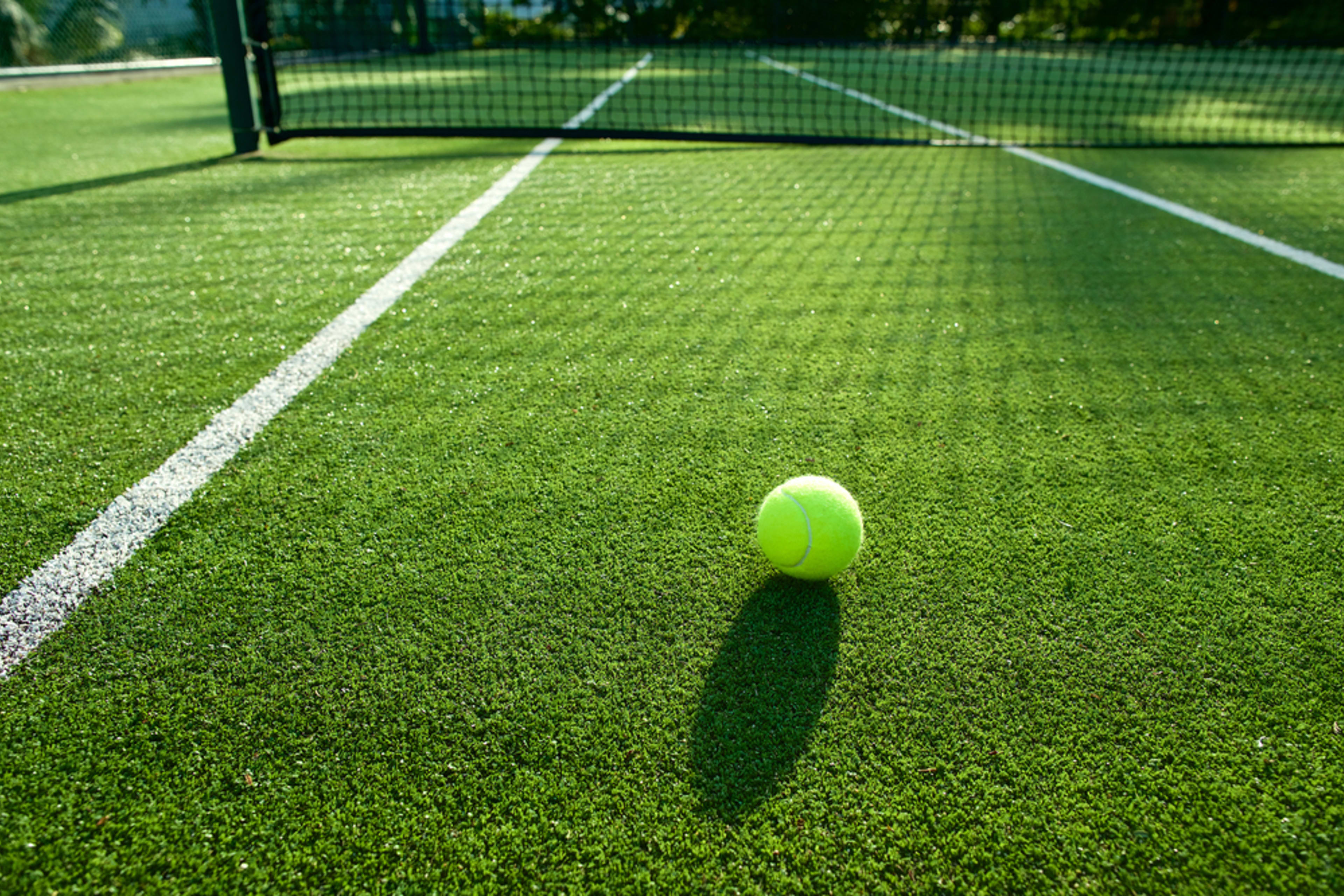 Histoire et Importance de la Couleur de la Balle en Tennis