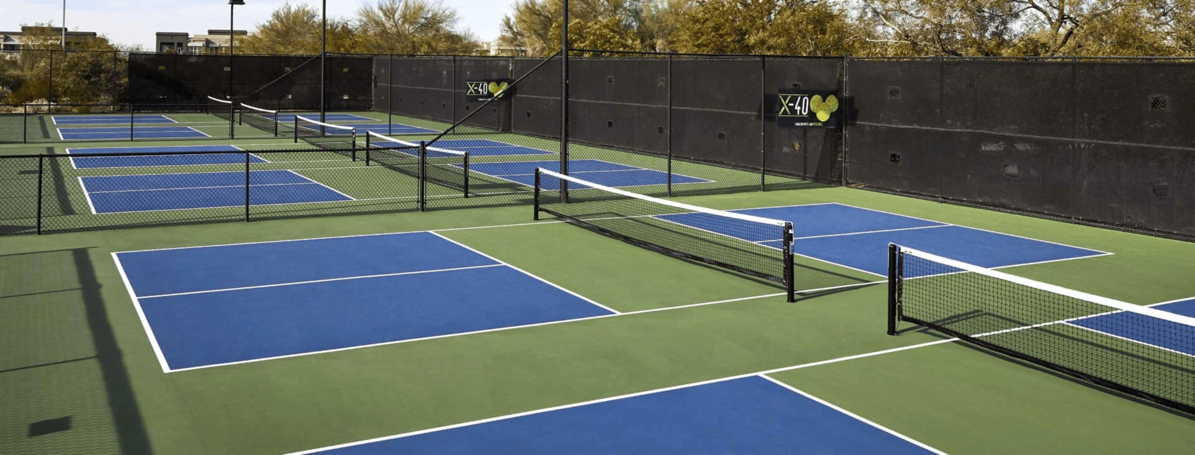 Pickleball - Anybuddy