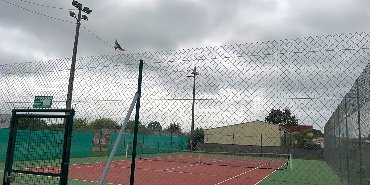 Cabariot Tennis Club - Photo principale