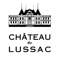 Terrain Château de Lussac à Nouvelle-Aquitaine