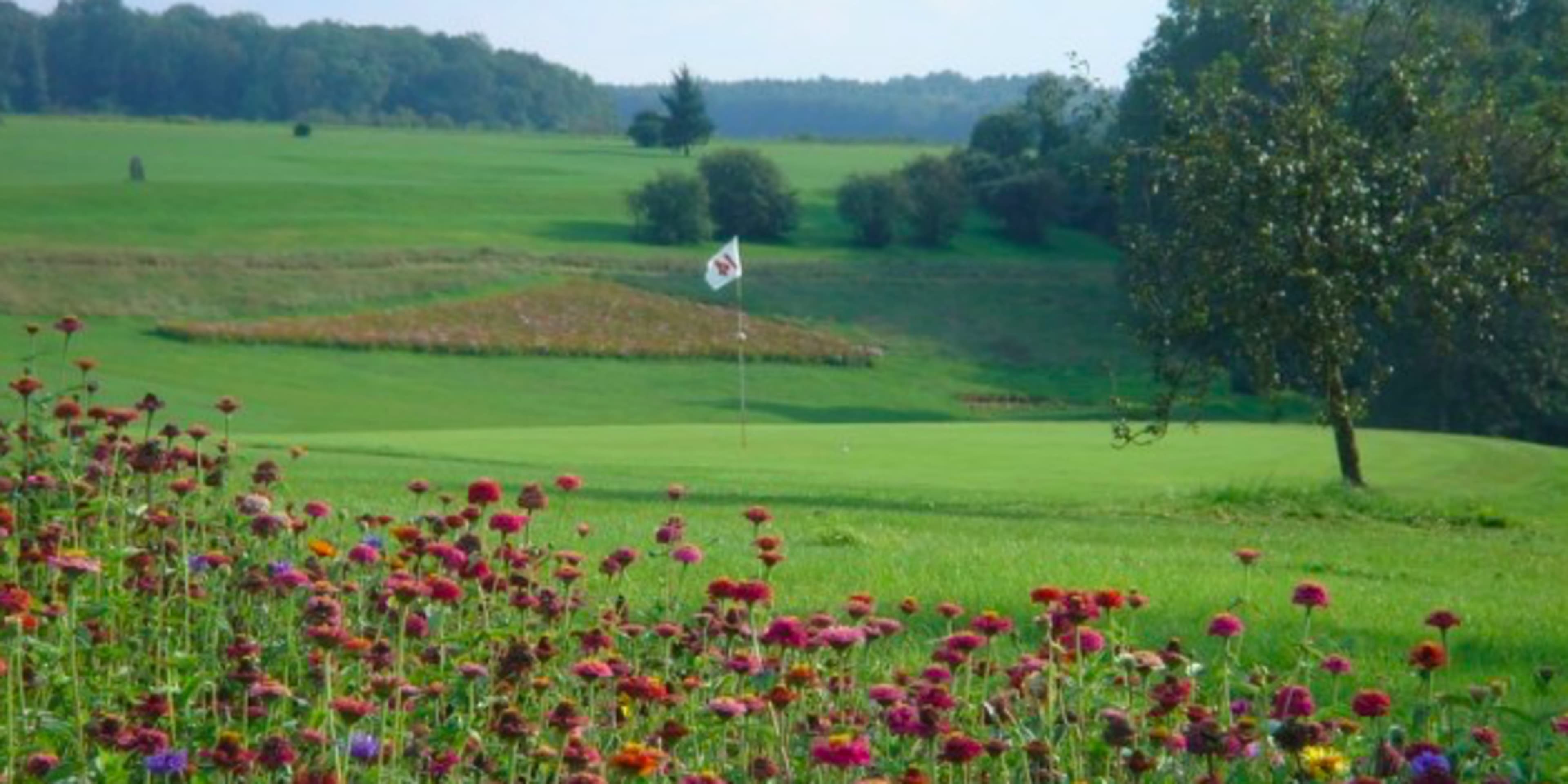 Golf De Champagne - club de sport