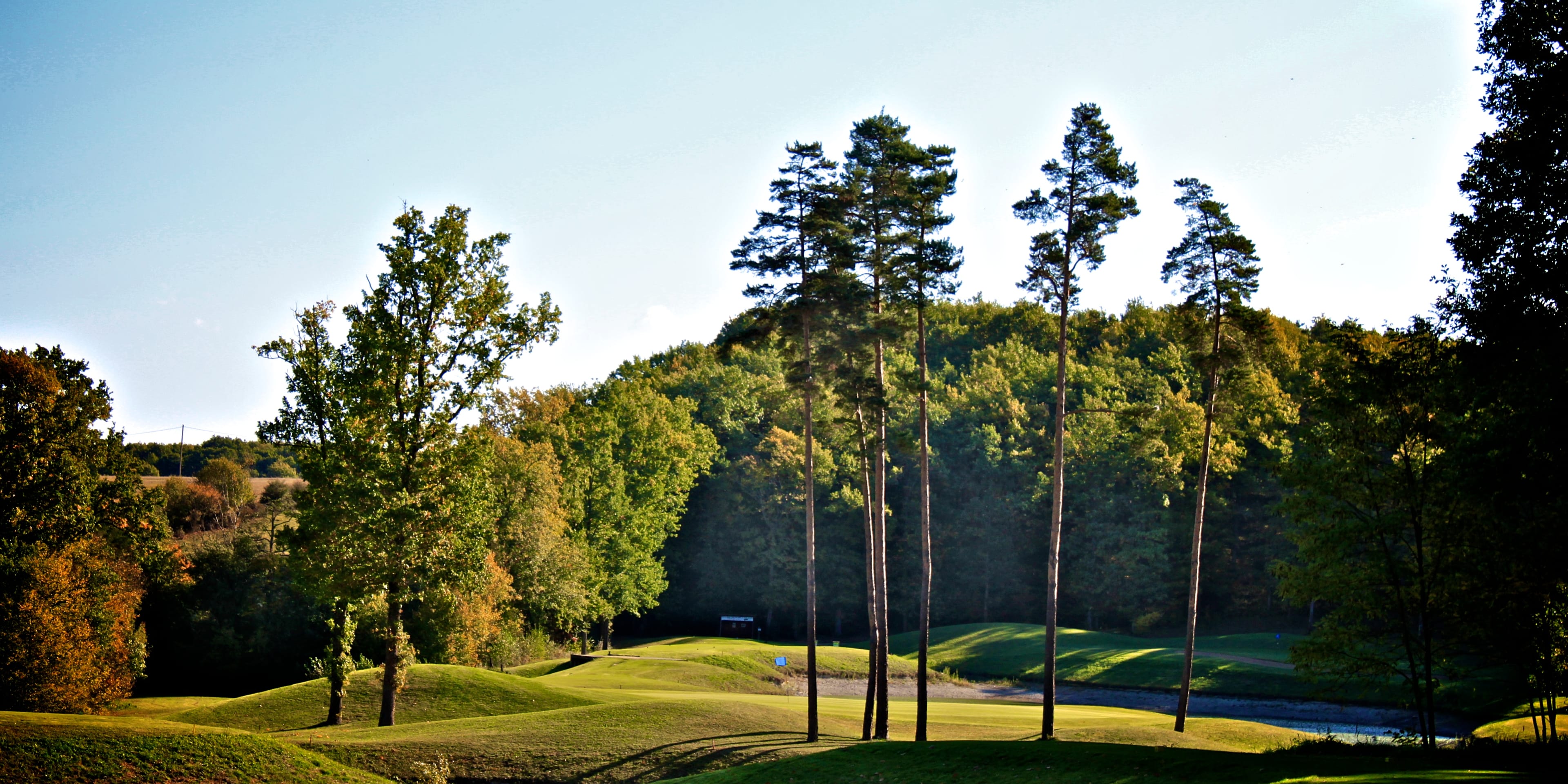 Golf Vichy Forêt De Montpensier - club de sport
