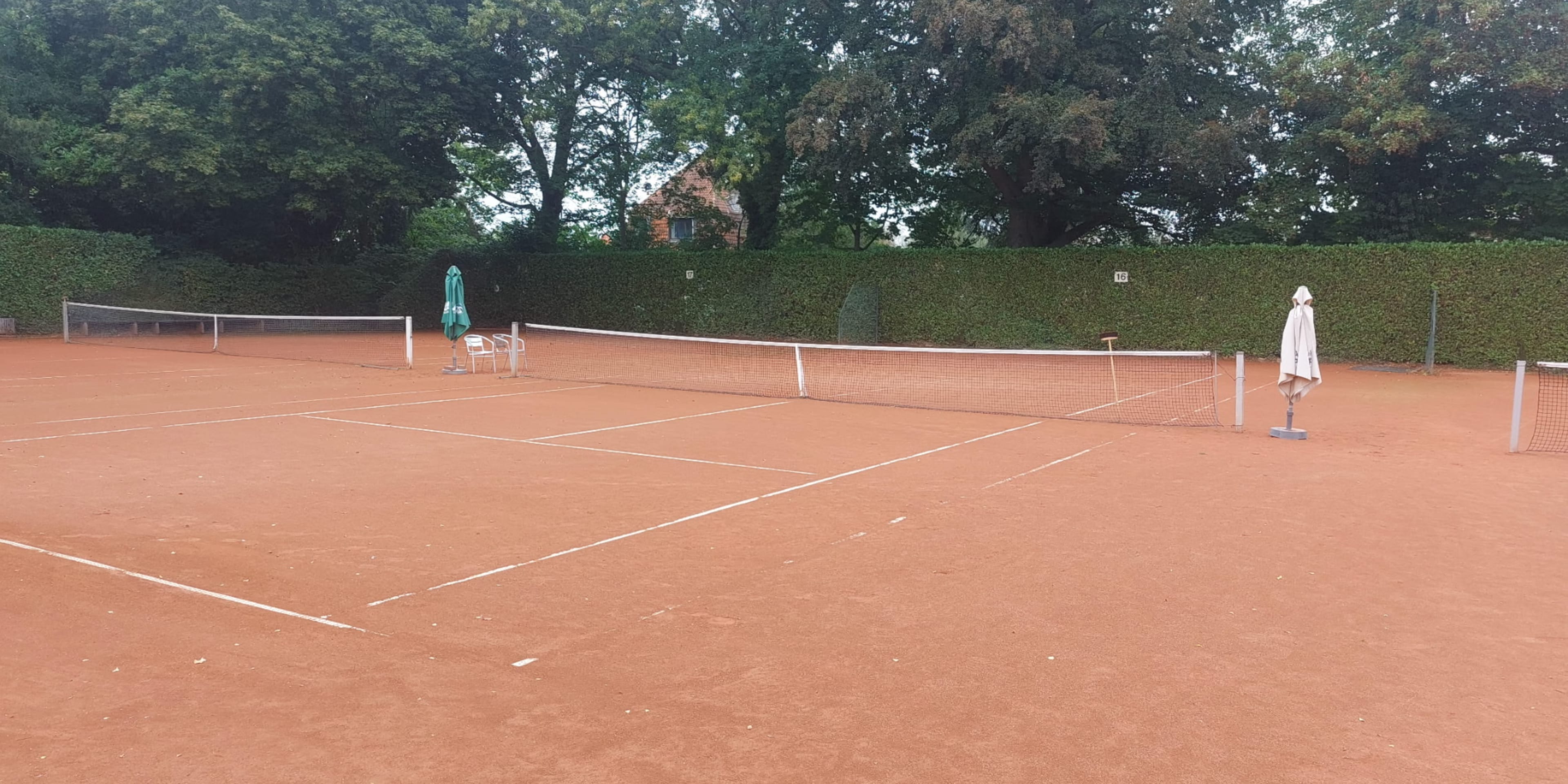 Wimbledon TC - club de sport
