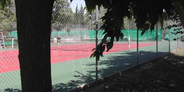 Tc Paillade - Photo principale