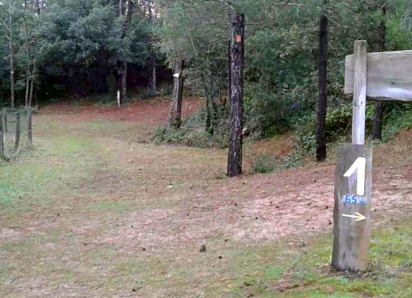 Swingolf Le Goulet La Fromentine - Photo 1