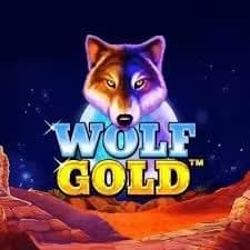Análisis del juego Wolf Gold - RTP, consejos y bonos