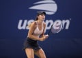 WTA Linz - Last chance for glory