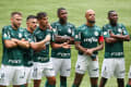 Palmeiras x Tigres - Mundial de Clubes da FIFA