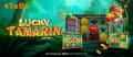 Lucky Tamarin é o novo slot com tema de selva, Hold & Respin e multiplicadores