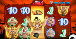 Símbolo Wild Expandido