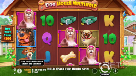 The Dog House MultiHold