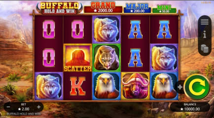 Buffalo Hold and Win