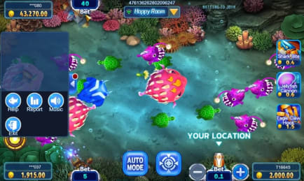 All-star Fishing