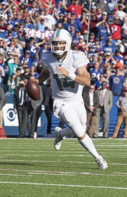 Pittsburgh Steelers vs Miami Dolphins: No more "quack-attack"