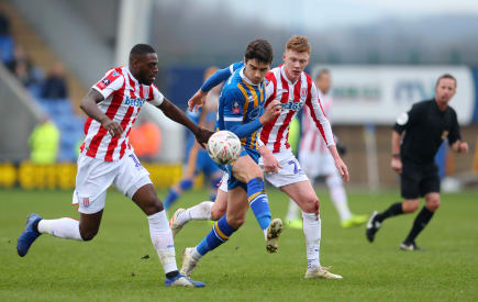 Stoke City - Luton Town: Home team slightly underrated