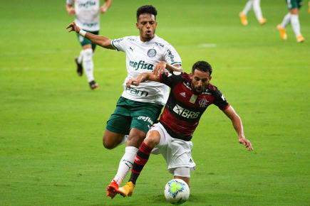 Flamengo x Palmeiras