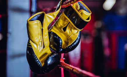 Belfort vence Holyfield no primeiro round