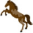 Corrida de Cavalo