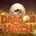 Dragon Hatch