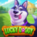 Lucky Doggy