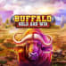 Buffalo Hold and Win