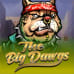 The Big Dawgs