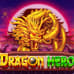 Dragon Hero