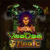 Voodoo Magic