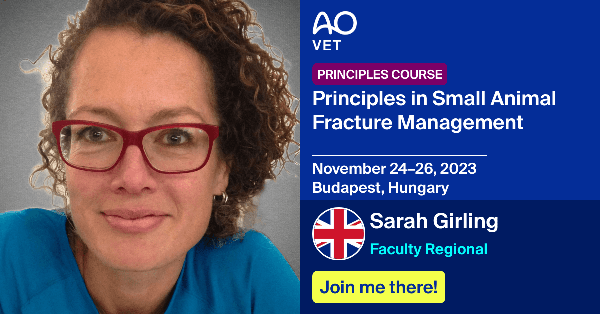 
📅November 24–26, 2023
📍Budapest, Hungary