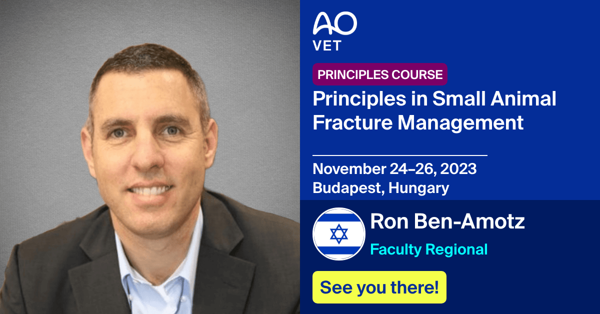 Faculty Regional
📅November 24–26, 2023
📍Budapest, Hungary