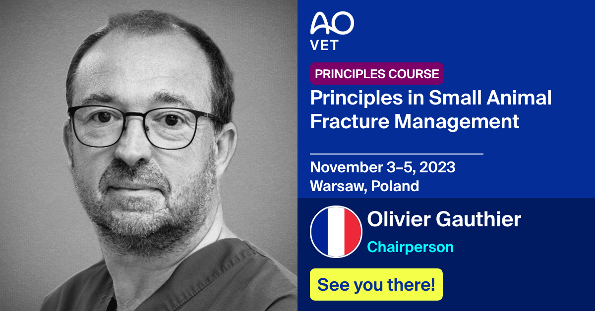 
📅November 3–5, 2023
📍Warsaw, Poland