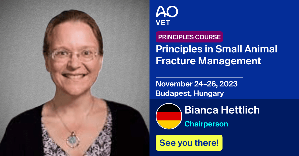 Chairperson
📅November 24–26, 2023
📍Budapest, Hungary