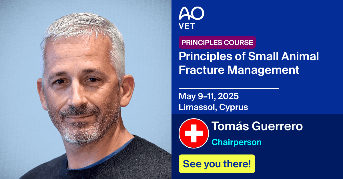 
📅 May 9–11, 2025
📍  Limassol, Cyprus
