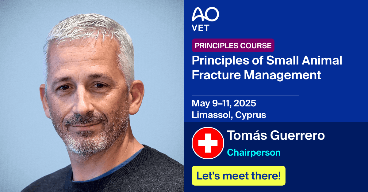 
📅 May 9–11, 2025
📍  Limassol, Cyprus