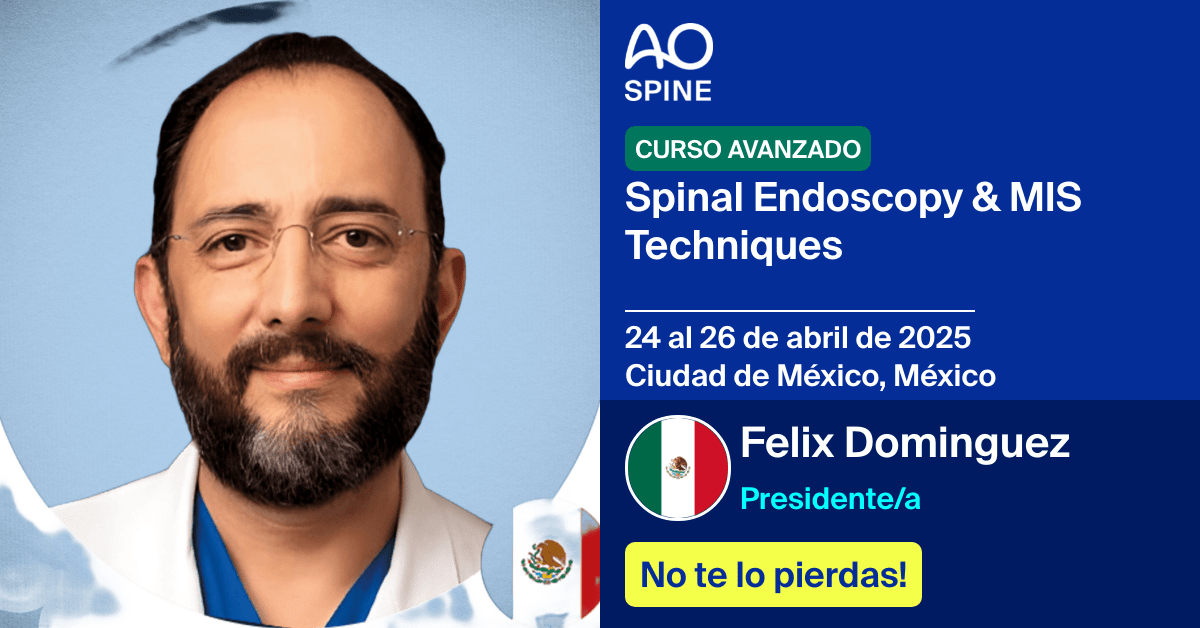 Presidente/a
📅 24 al 26 de abril de 2025
📍 Ciudad de México, México