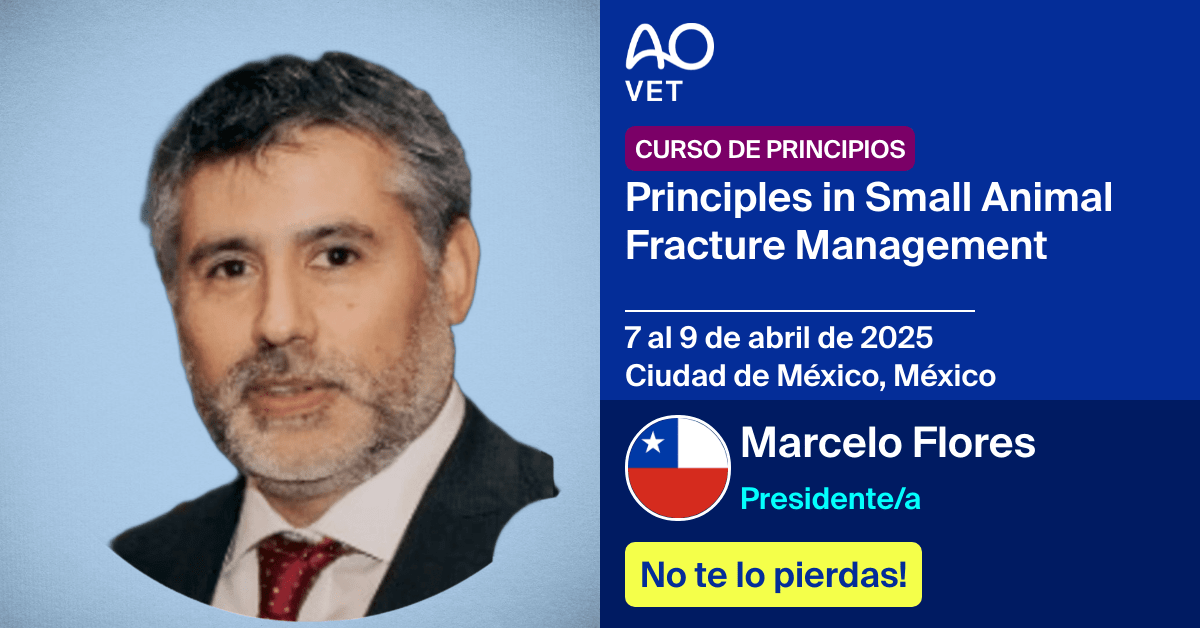 
📅 7 al 9 de abril de 2025
📍  Ciudad de México, México