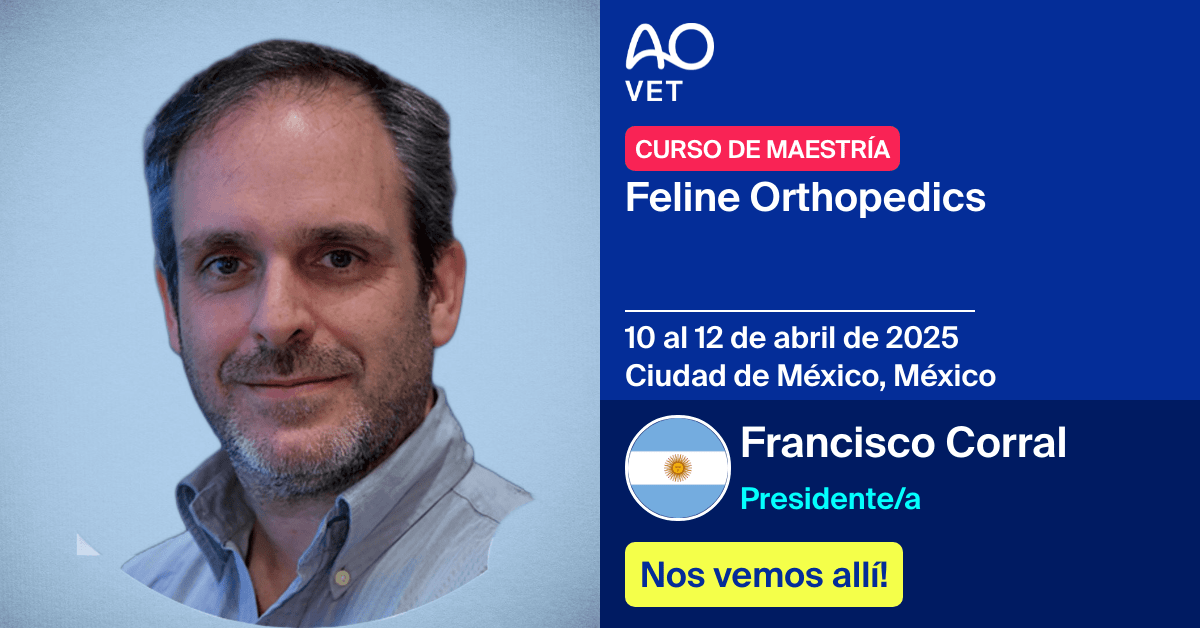 Presidente/a
📅 10 al 12 de abril de 2025
📍 Ciudad de México, México