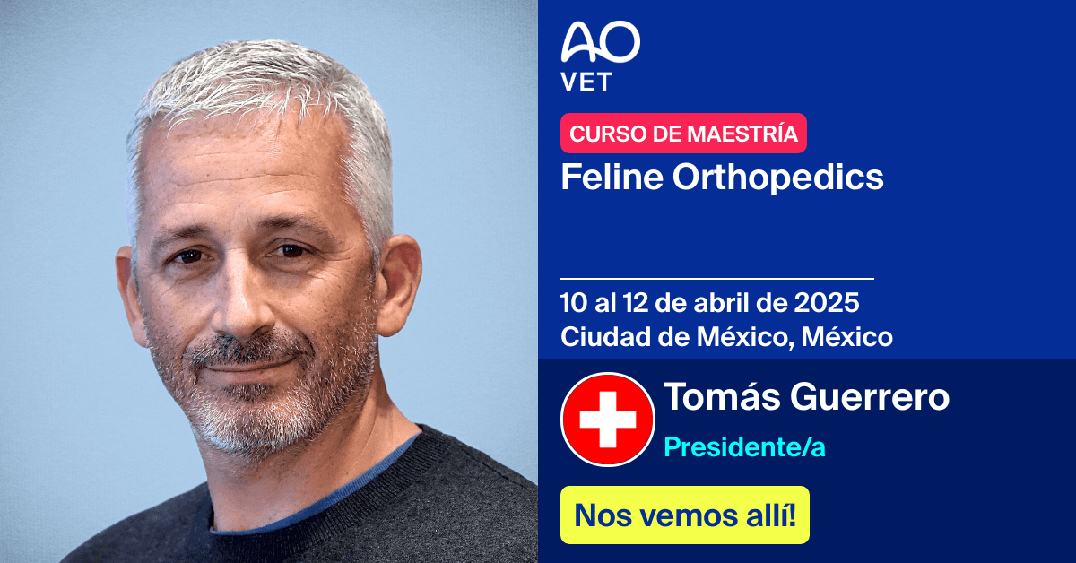 
📅 10 al 12 de abril de 2025
📍  Ciudad de México, México