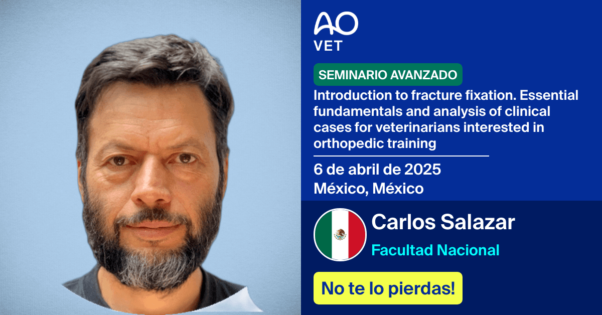 
📅 6 de abril de 2025
📍  México, México