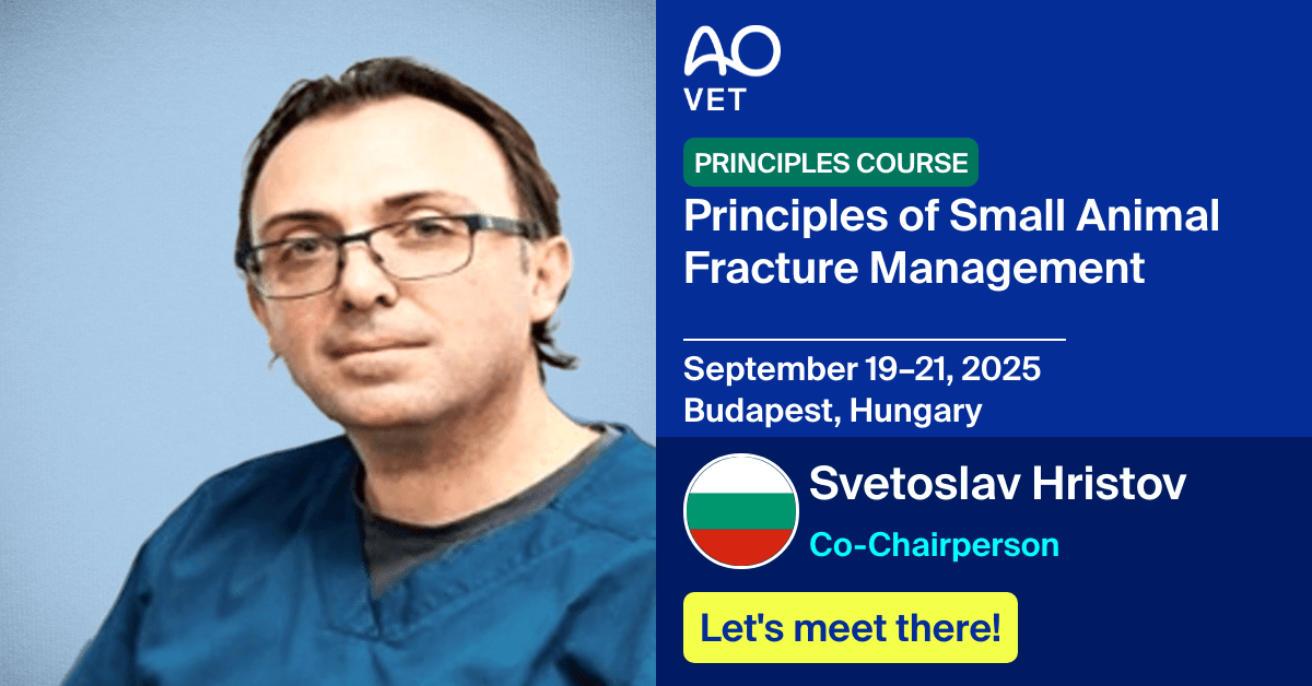 
📅 September 19–21, 2025
📍  Budapest, Hungary