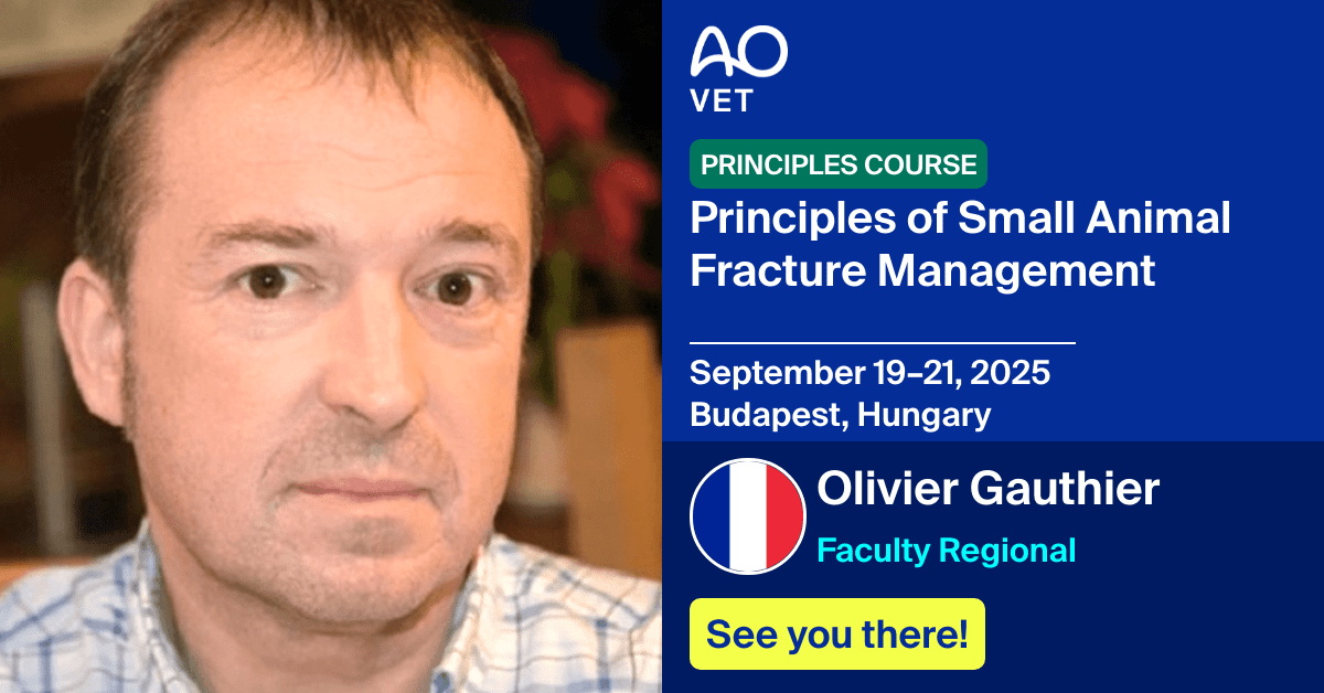 
📅 September 19–21, 2025
📍  Budapest, Hungary