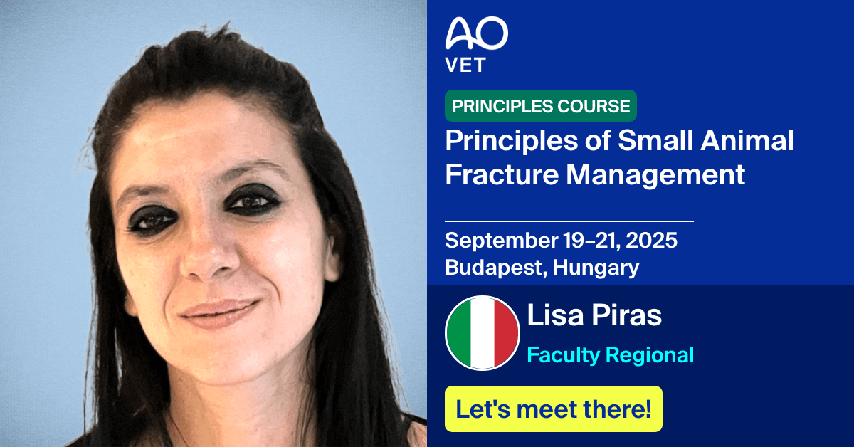 
📅 September 19–21, 2025
📍  Budapest, Hungary